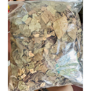 Cây lá thành ngạnh(cây đỏ ngọn) loại 1(mới, sạch, nhiều lá)[1KG]