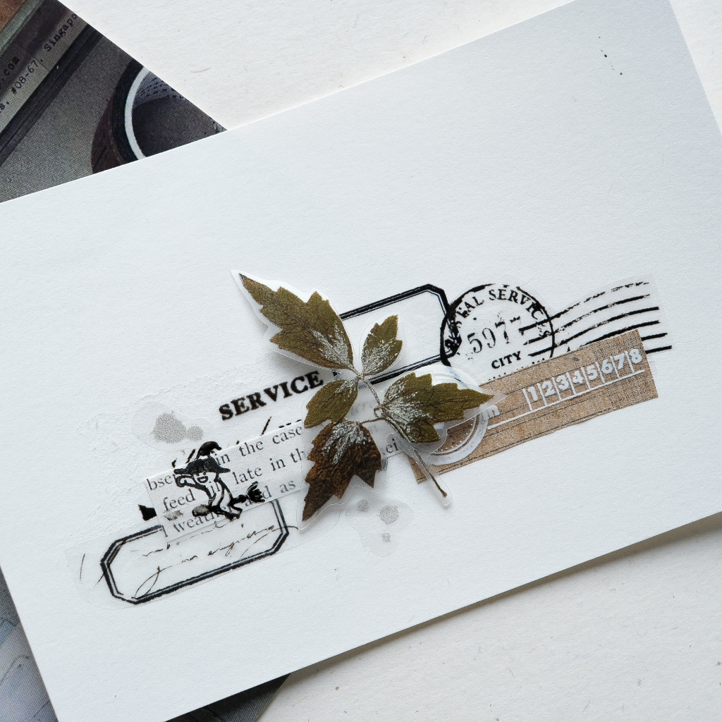 Meohime 𓃠 Hãng MrEggplants - Băng dán PET tape lá khô Old leaves