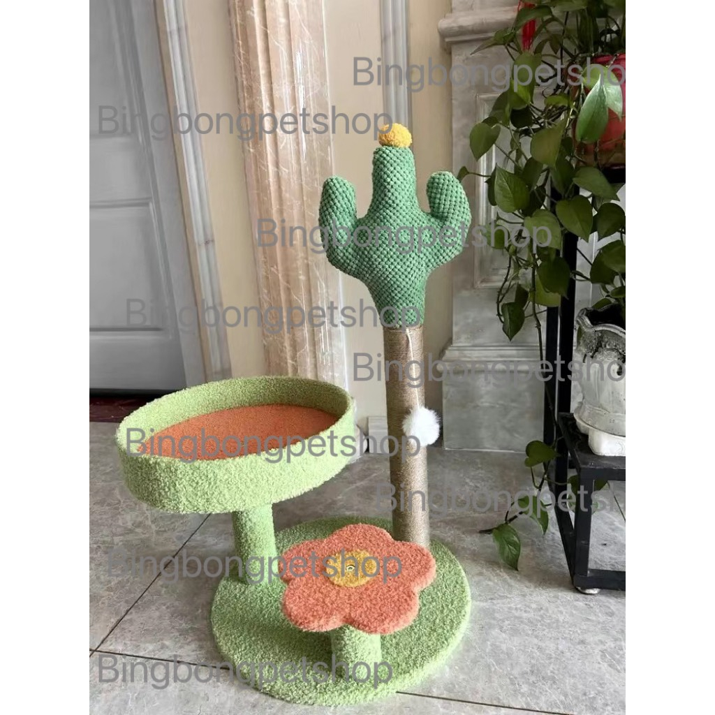Cattree TRÁI THƠM, XƯƠNG RỒNG,  nâu , CARROT đủ loại