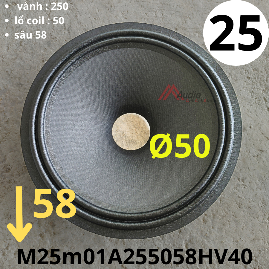Màng loa bass 25 viền vải 2 gân lổ coil 50 ( M25m01A255058HV40 ) M007