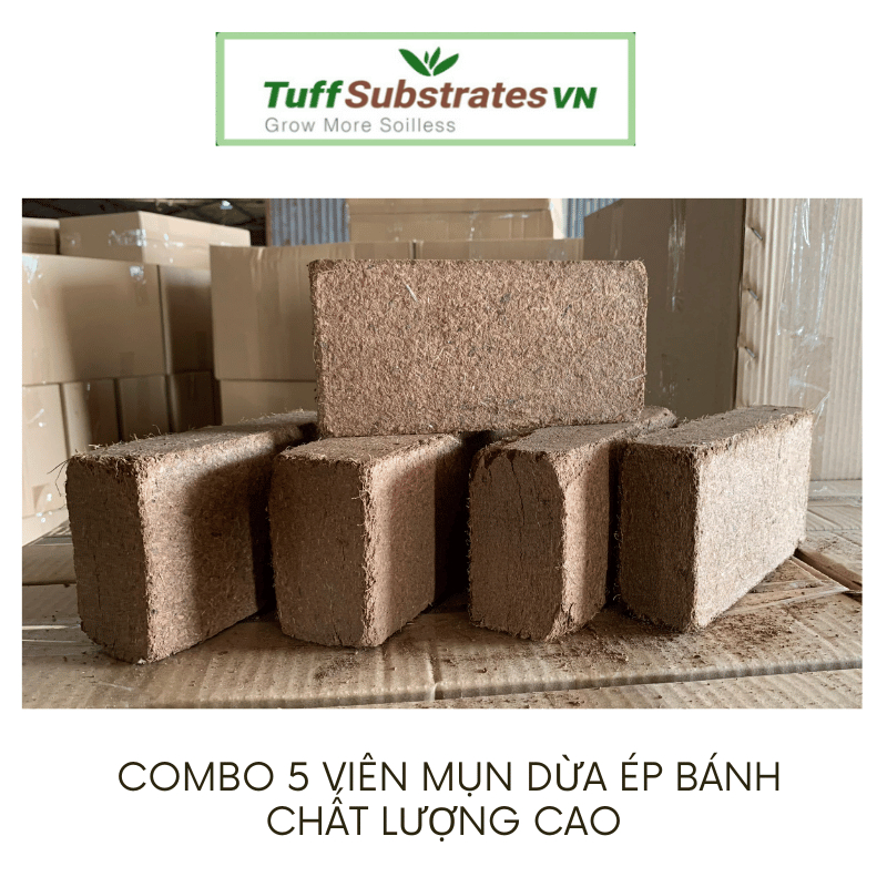 Combo 5 viên mụn dừa ép bánh 500-600g chất lượng cao - Mụn dừa đã xử lý
