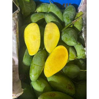 Cây giống Xoài Thái Lan  (CÂY GIỐNG BAN MÊ XANH)