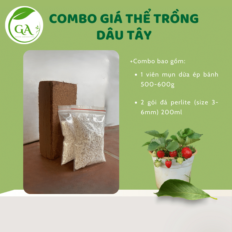Combo hỗn hợp giá thể trồng dâu tây đã xử lý (mụn dừa và đá perlite)