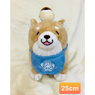 Gấu bông chó Shiba.