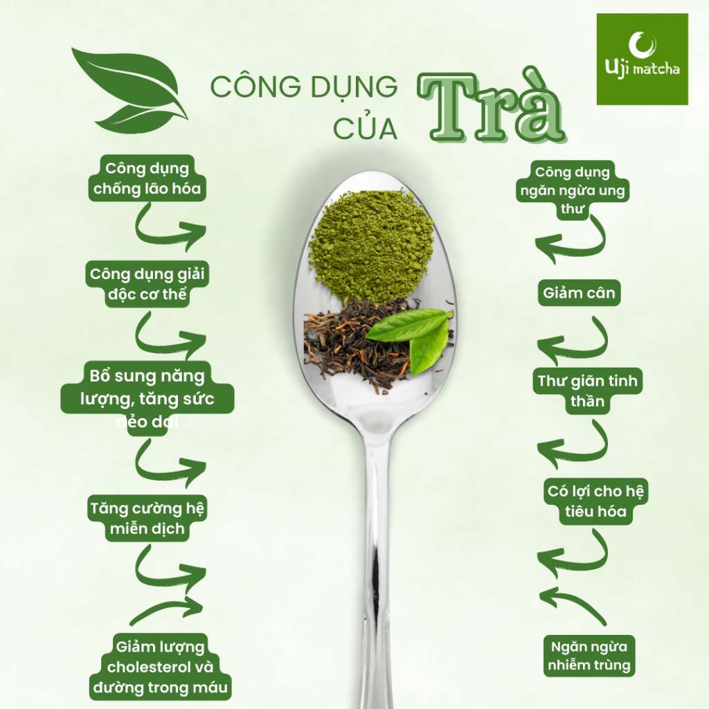 Bột trà xanh Matcha Ceremonial Grade nguyên chất gói 50g – Không đường, sữa