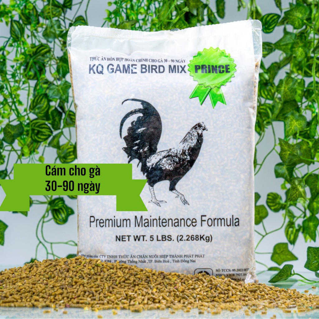 Cám KQ PRINCE cho gà con 30-90 ngày tuổi