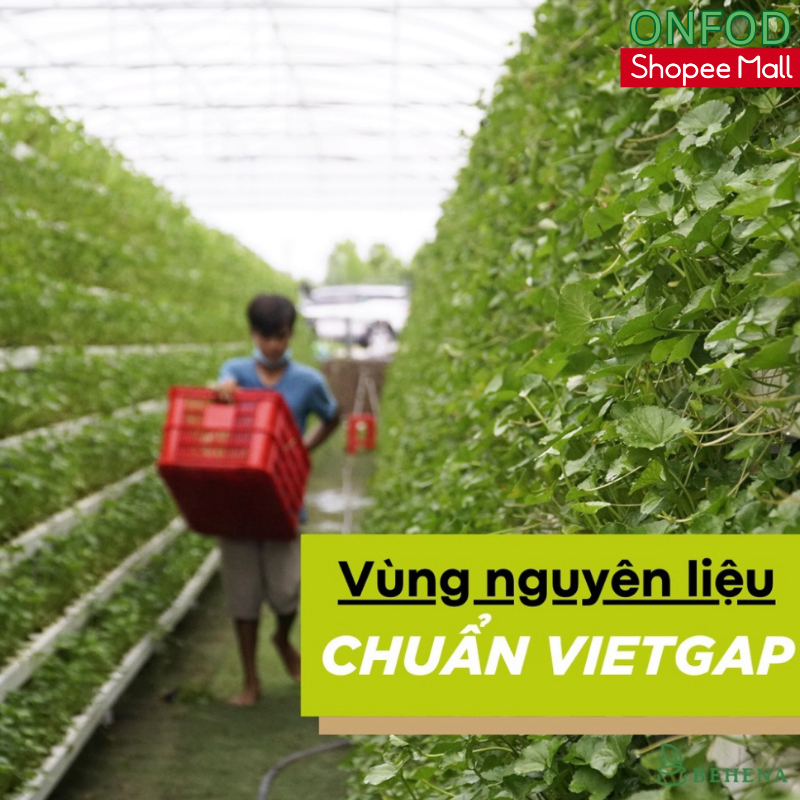 Bột cần tây mật ong collagen nguyên chất sấy lạnh hữu cơ ONFOD ăn kiêng giảm cân đẹp da giữ dáng 75g 15 gói 5g