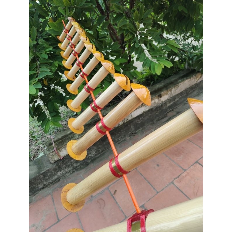 Sáo bò d65 11 quả