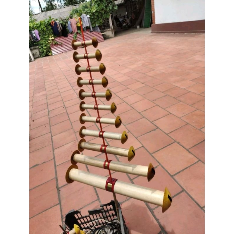 Sáo bò d65 11 quả