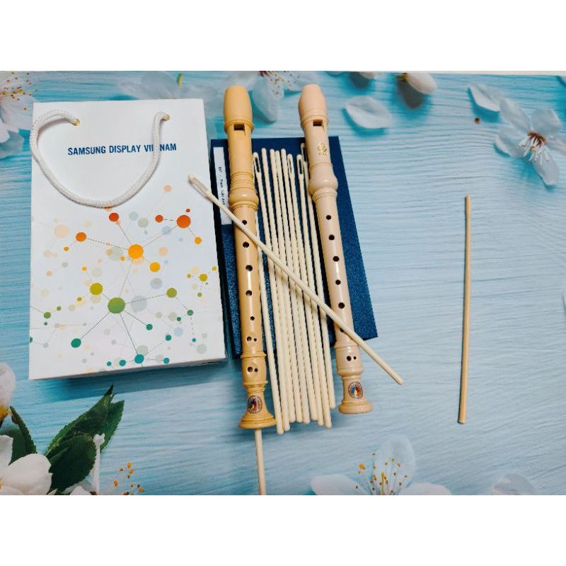 Que vệ sinh lòng sáo recorder