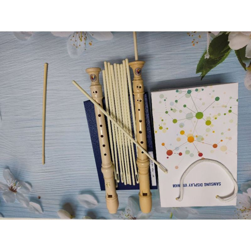 Que vệ sinh lòng sáo recorder