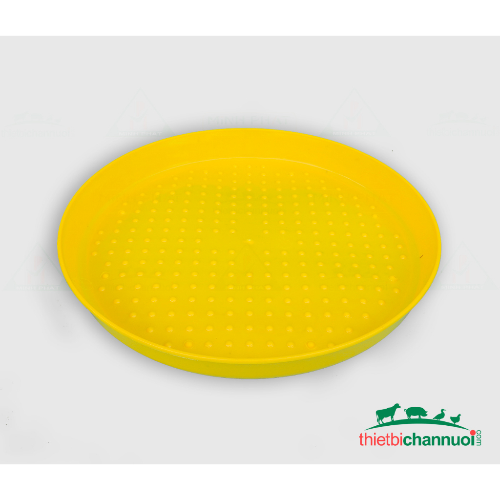 COMBO 10 KHAY TẬP ĂN CHO GÀ CON