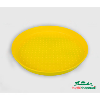 Combo 10 khay/mâm tập ăn cho gà con