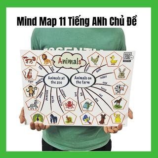 Sơ đồ tư duy - Mind Map tiếng anh 11 chủ đề - Cán bóng, tặng kèm file nghe