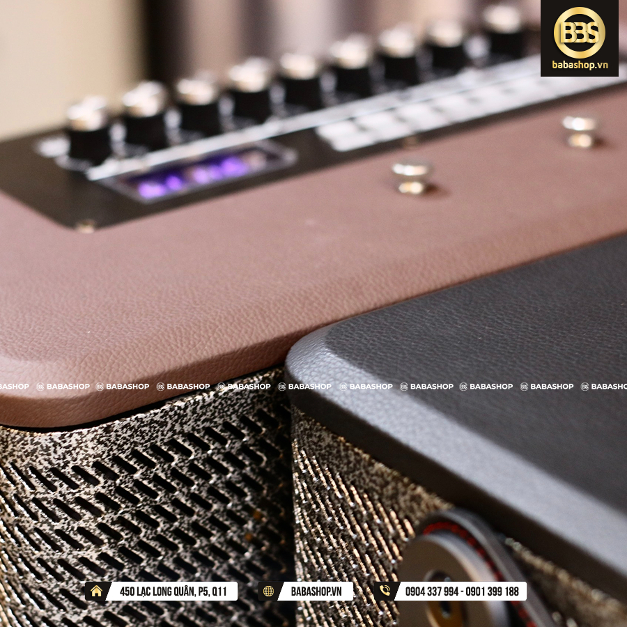 Loa karaoke xách tay Temeisheng GD66-82, Hàng cao cấp âm thanh HiFi 180 độ + Kèm 2 mic hút âm