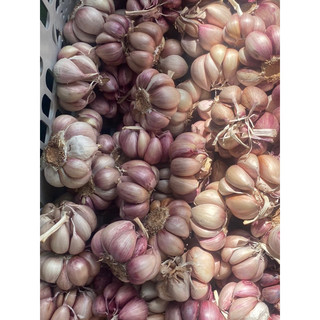 1kg tỏi tím  ( loại ngon)