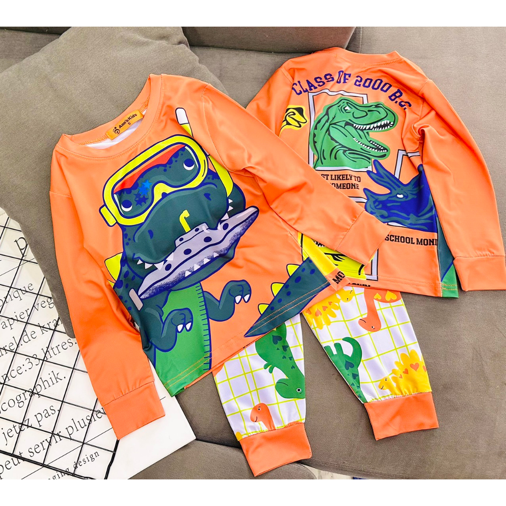 Bộ Tay dài quần dài Thun lạnh 3D loại 1 Ann's Kids in hoạt hình cho bé trai size nhí từ12-22kg-Đồ bộ cho bé-Pikakids