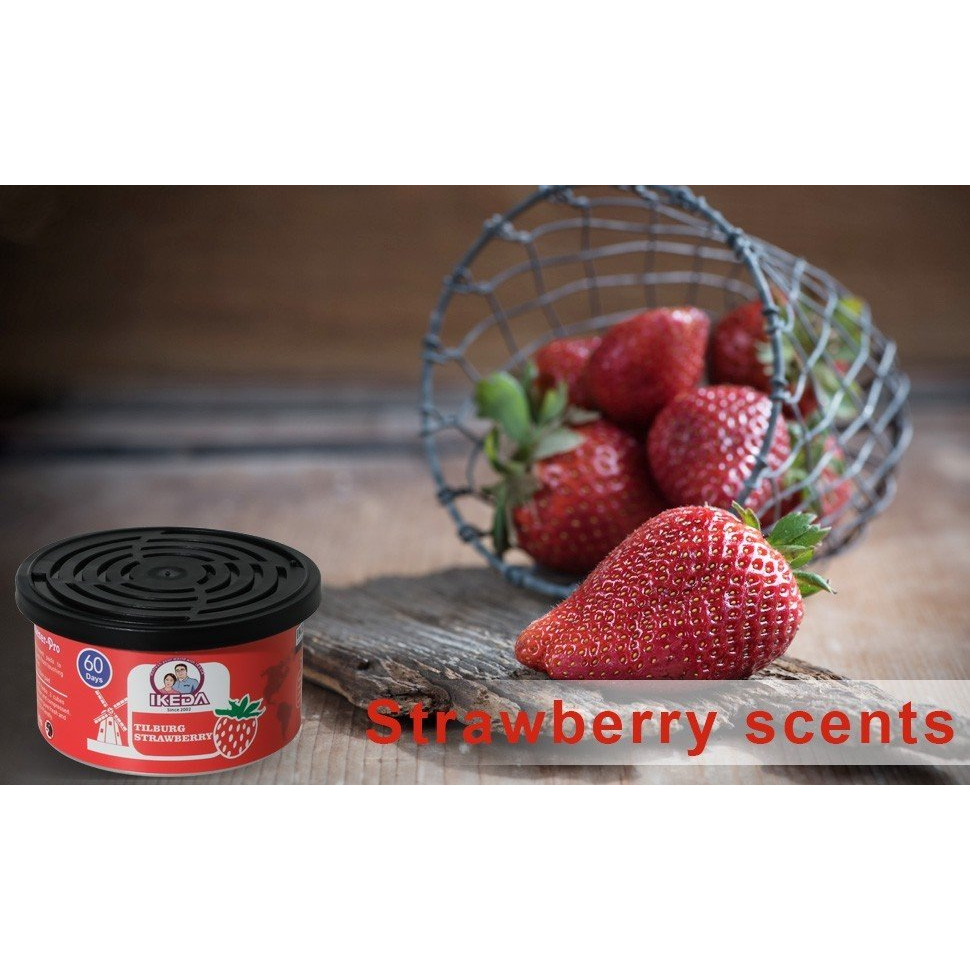 Sáp thơm ô tô IKEDA mùi hương tự nhiên dễ chịu