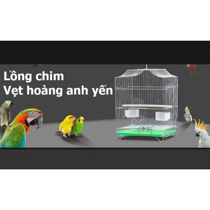 lồng nuôi chim cảnh inox giá gốc
