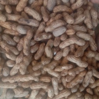 Lạc tươi gia lai ( đậu phộng mới nhổ 4 Kg
