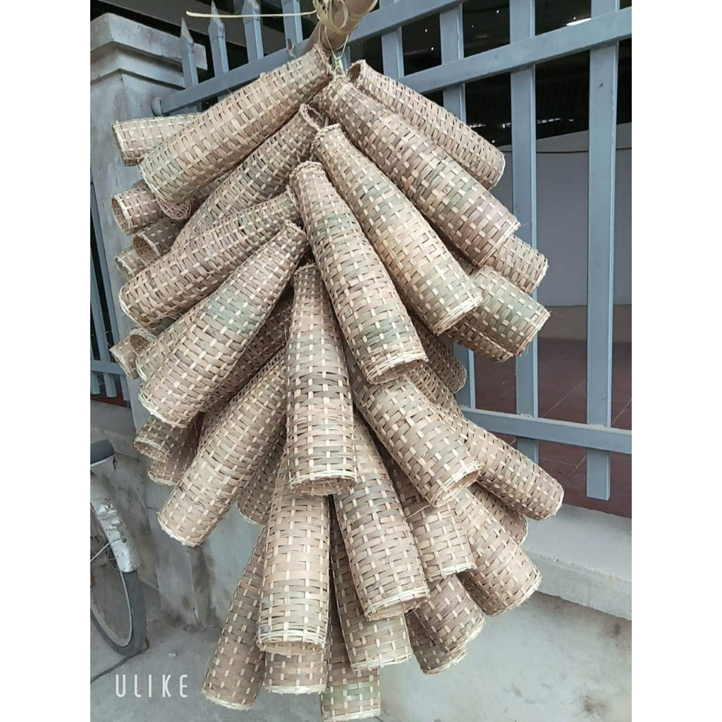 CHÚM  BẮT TÔM, CÁ BỐNG 2  TUA