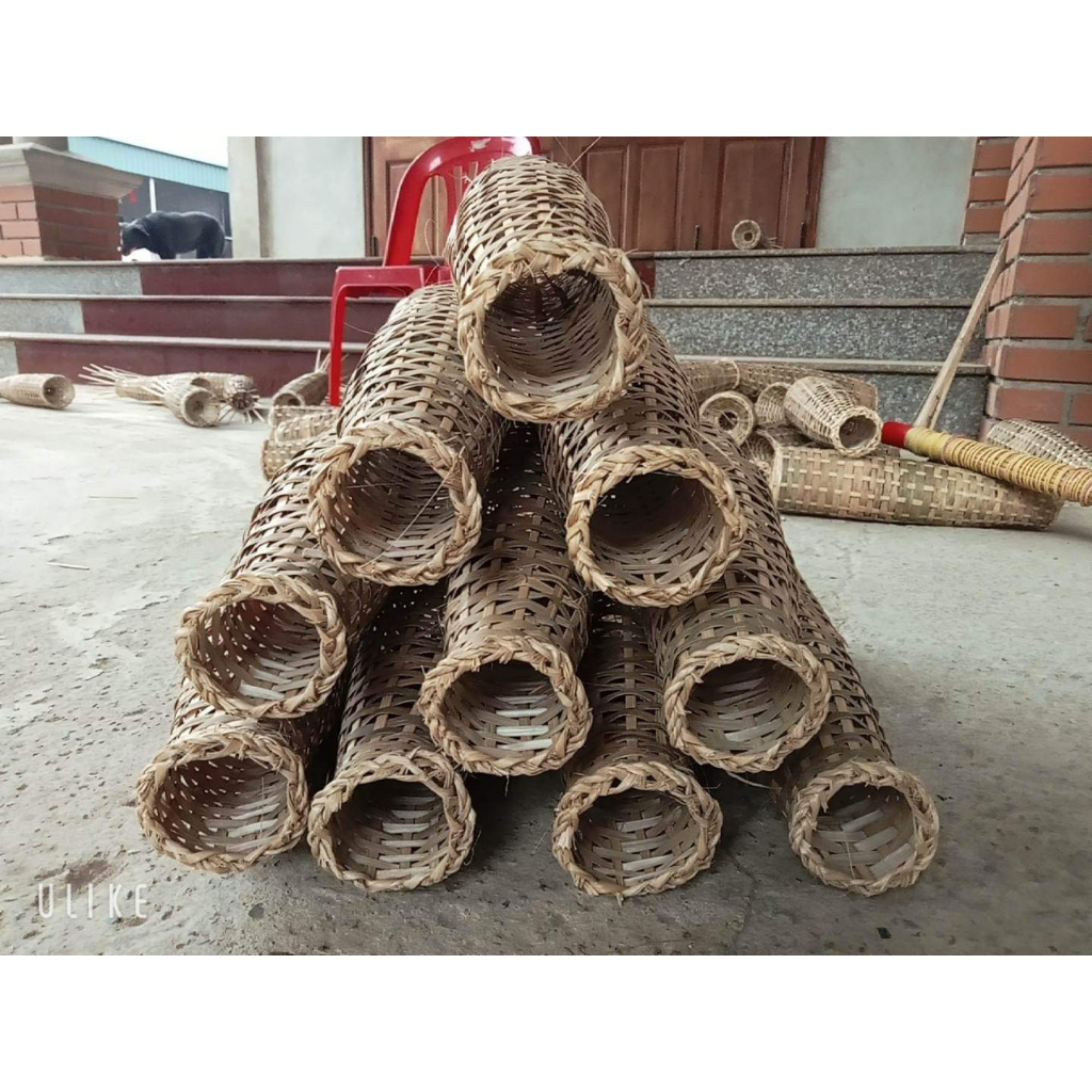 CHÚM  BẮT TÔM, CÁ BỐNG 2  TUA