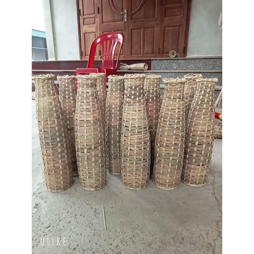 CHÚM  BẮT TÔM, CÁ BỐNG 2  TUA