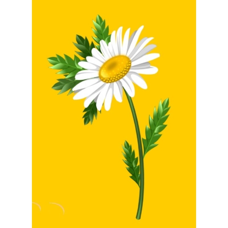 Hình ủi ép nhiệt, in áo. Mẫu Hoa lá 3D in áo dài, váy, yếm cho mẹ và bé