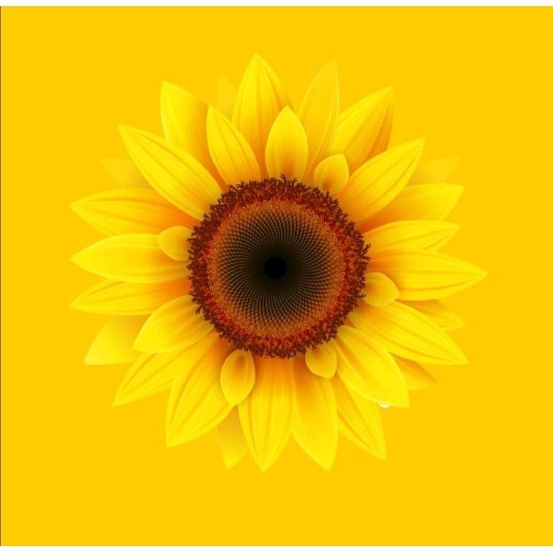 Hình ủi ép nhiệt, in áo. Mẫu Hoa lá 3D in áo dài, váy, yếm cho mẹ và bé