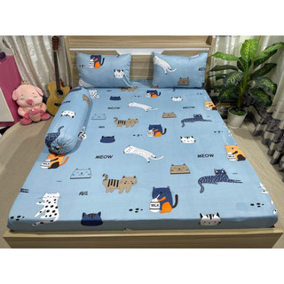 Drap/Ga giường lẻ thun lạnh Hàn Quốc không Áo gối đủ size