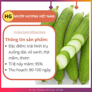 mướp hương cổ(gói 30hạt)