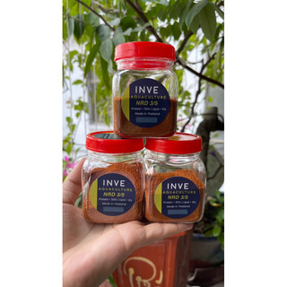 Cám thái inve 3/5 | thức ăn cao cấp cho cá cảnh, bảy màu, guppy, betta guppy xanh 50gr