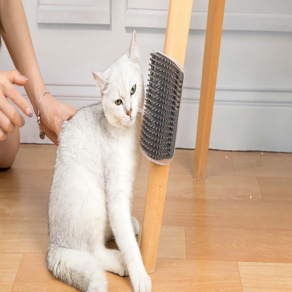 Bàn Chải Massage Mèo Lông Ngắn Cún Thú Cưng Chuột Hamster Thỏ Tự Động Gãi Ngứa Cho Mèo Dán Gắn Tường Body Đầu Mặt Cơ Thể