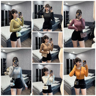 Áo thun trơn cổ tròn dài tay basic