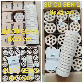 Sứ Củ Sen Mountain Tree - Vật Liệu Lọc Cao Cấp Cho Bể Cá