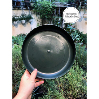 Đĩa nhựa tròn lót chậu cây hứng nước bẩn 20cm