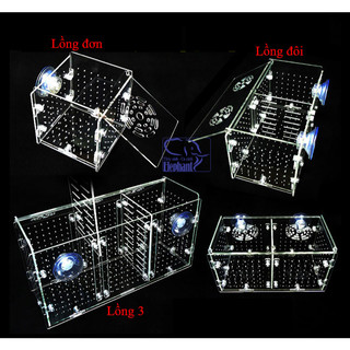 Lồng dưỡng cá, tép bằng mica siêu trong cho cá, tép cảnh