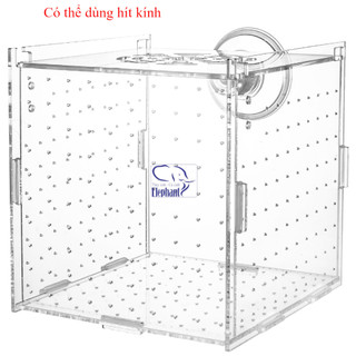 Lồng dưỡng cá, tép bằng mica siêu trong cho cá, tép cảnh