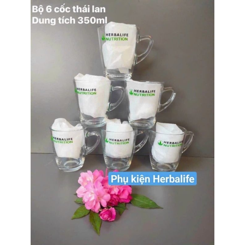 Bộ 6 ly thủy tinh có quai logo HBL, thể tích 350ml