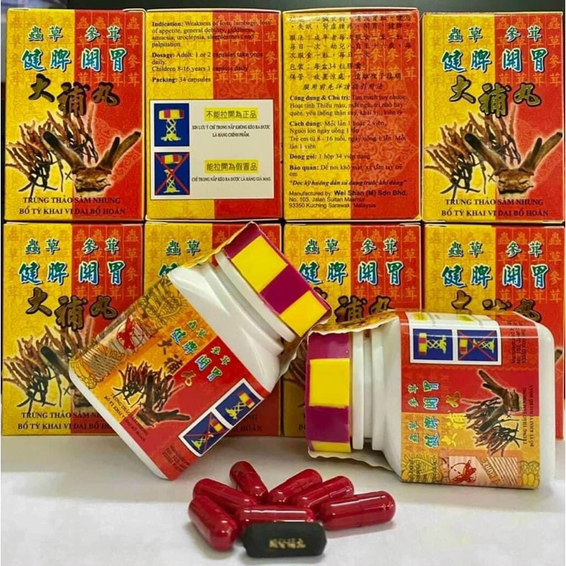 Trùng thảo sâm nhung-malaisya