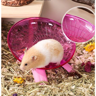 wheel Parapol carno (Dĩa Bay) dành cho hamster - T3 PETS SHOP