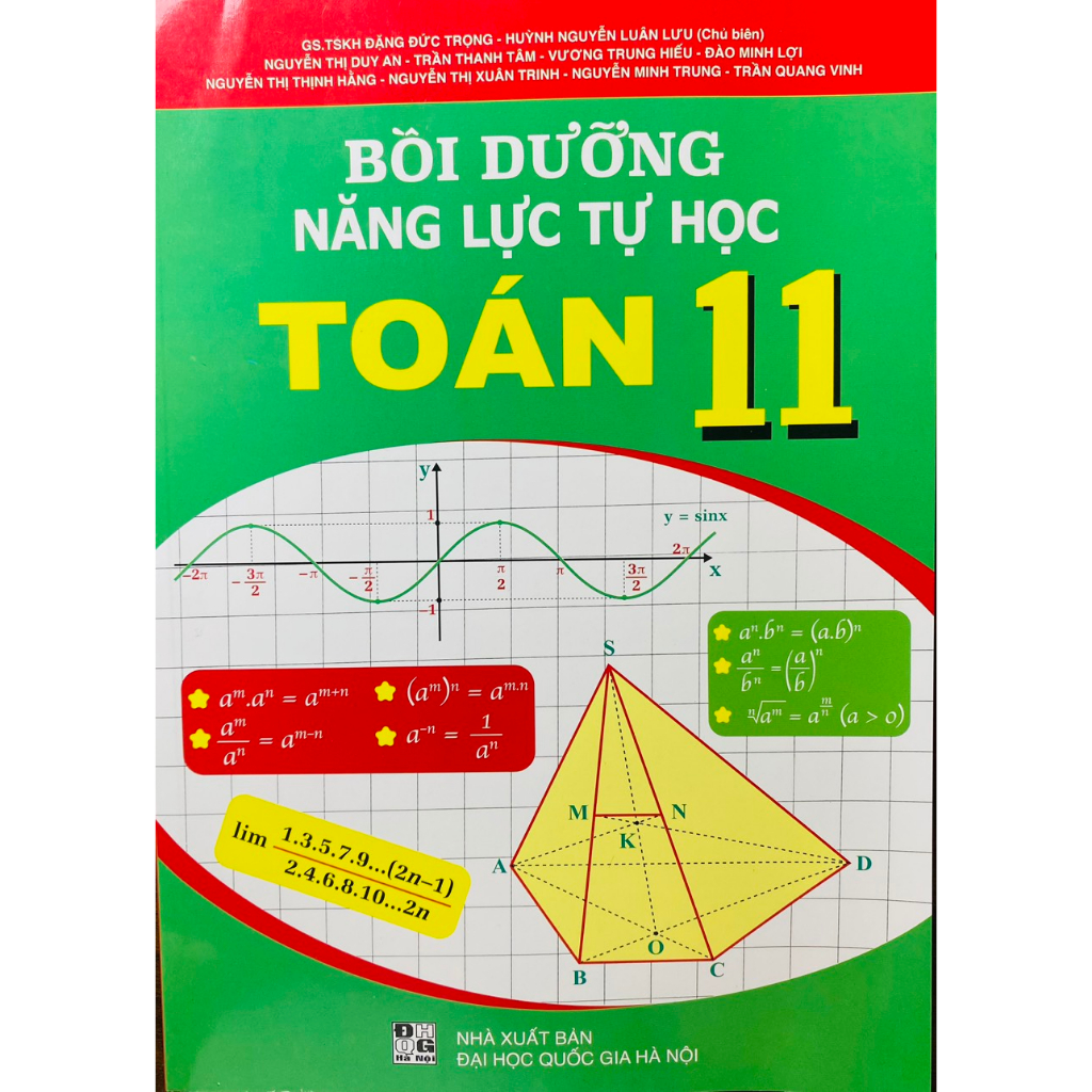 Sách - Bồi dưỡng năng lực tự học Toán 11