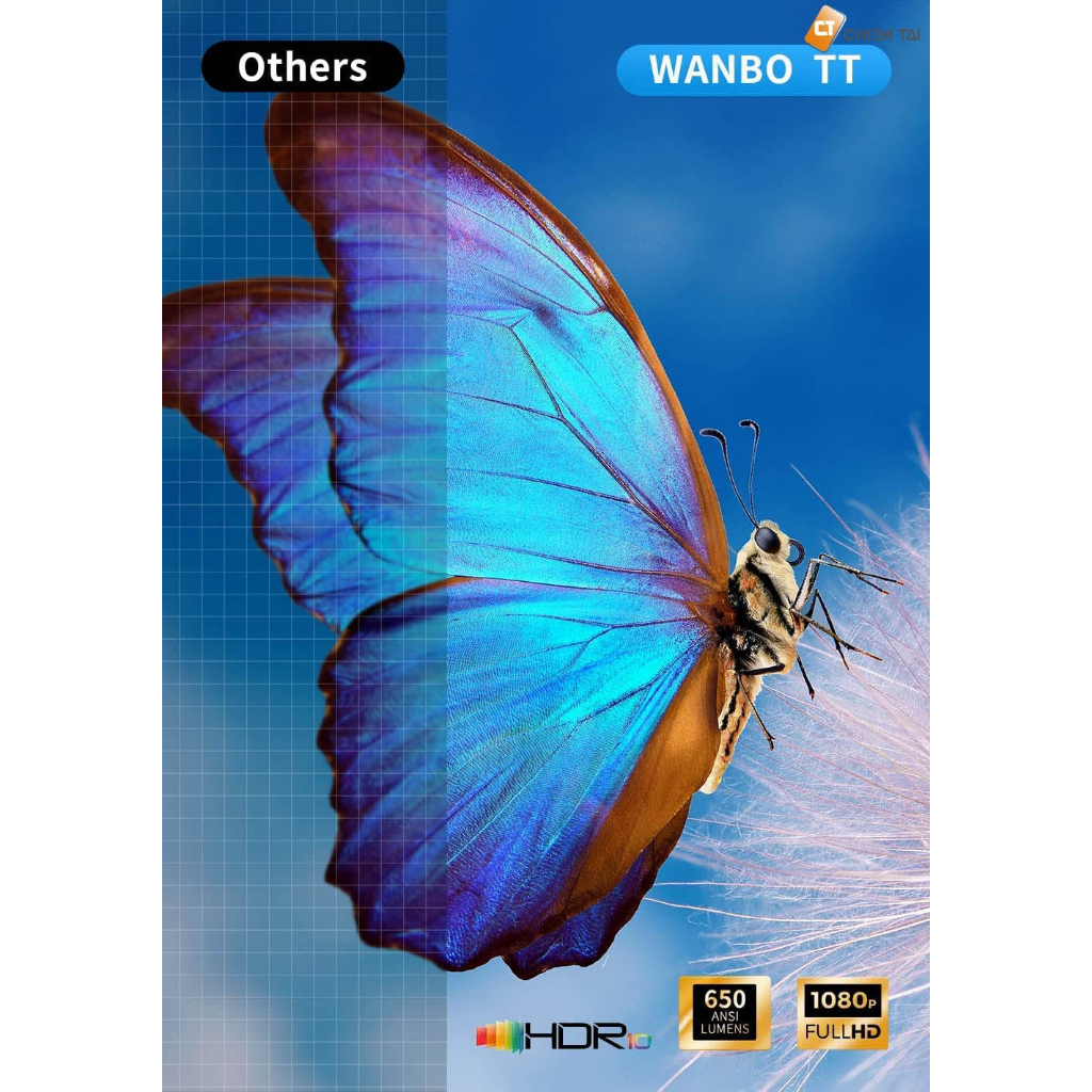 Máy chiếu không dây FHD 1080P Wanbo TT
