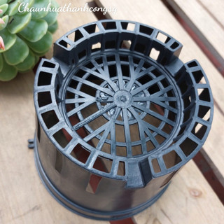[10 cái] Chậu trồng lan phi 21
