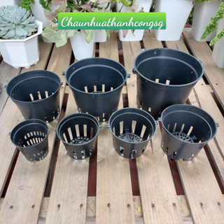 [10 cái] Chậu trồng lan phi 21