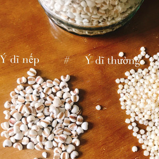 Hạt Ý Dĩ nếp chuẩn hạt lớn (Trắng da, lợi sữa, hỗ trợ tiêu hóa)