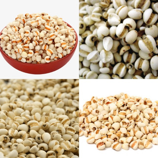 Hạt Ý Dĩ nếp chuẩn hạt lớn (Trắng da, lợi sữa, hỗ trợ tiêu hóa)