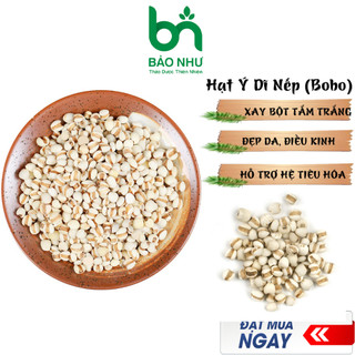 Hạt Ý Dĩ nếp chuẩn hạt lớn