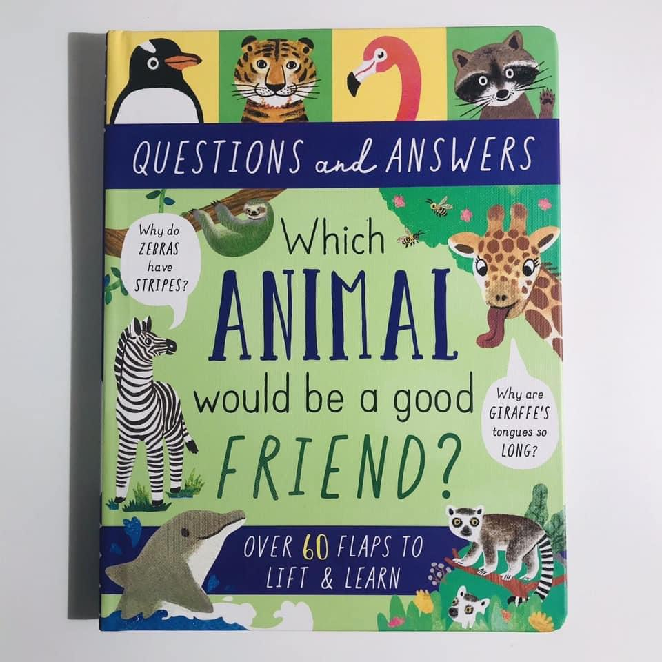 Question and answer bìa cứng 5c màu