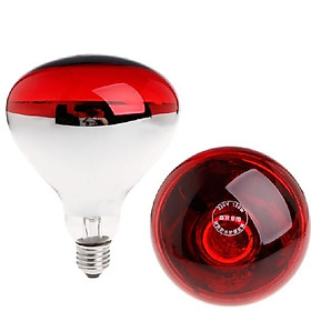 Đèn úm gia cầm v2 sợi đốt, hồng ngoại 25W 40W 60W 100W 200W